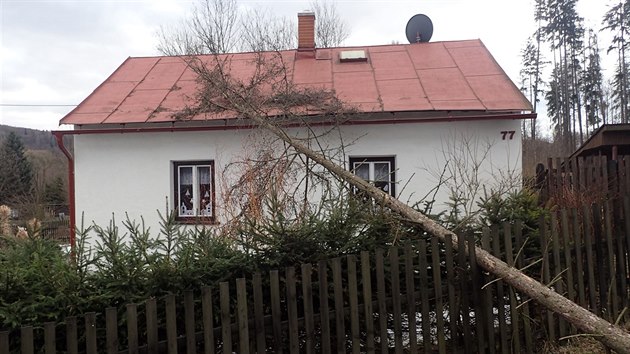 V Bruntle spadl strom na plot a stechu domu (24. nora 2017)