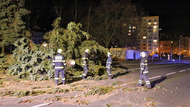 Hasii v Chebu museli odklzet stromy, kter popadaly kvli silnmu vtru (23. nora 2017).