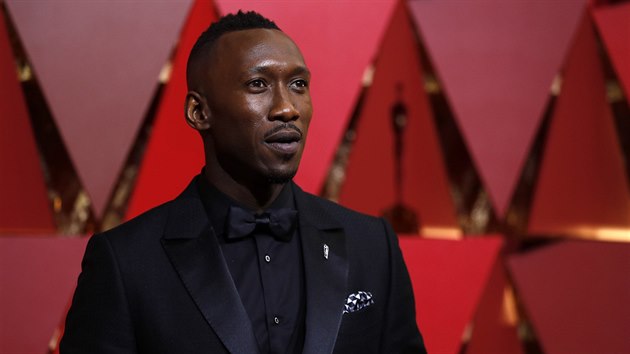 Prvnho Oscara si na slavnostnm udlen za vedlej muskou roli odnesl herec Mahershala Ali za film Moonlight (27. nora 2017).