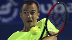 Lukáš Rosol na turnaji v Dubaji. Lukáš Rosol na turnaji v Dubaji.