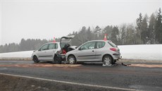 Řidičce vběhla do cesty srna. Řidič, který jel za ní, nezvládl zabrzdit a... Řidičce vběhla do cesty srna. Řidič, který jel za ní, nezvládl zabrzdit a...