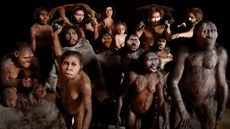 Pestrá společnost našich předků, zleva: Homo habilis, Homo ergaster, muž a... Pestrá společnost našich předků, zleva: Homo habilis, Homo ergaster, muž a...