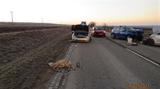 Srna na silnici poblíž jihomoravské obce Starovičky způsobila nehodu celkem... Srna na silnici poblíž jihomoravské obce Starovičky způsobila nehodu celkem...
