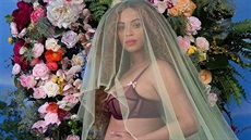 Beyoncé tímto snímkem v únoru 2017 oznámila, e je thotná a eká dvojata.