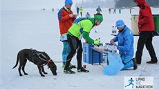 Lipno Ice Marathon