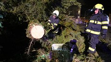 Hasiči v Chebu museli odklízet stromy, které popadaly kvůli silnému větru (23.... Hasiči v Chebu museli odklízet stromy, které popadaly kvůli silnému větru (23....