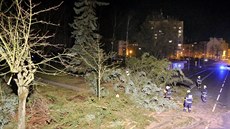 Hasii v Chebu museli odklízet stromy, které popadaly kvli silnému vtru (23....