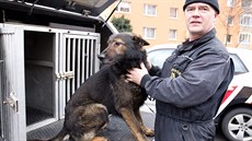 Policejní pomocník - sluební pes Xar.