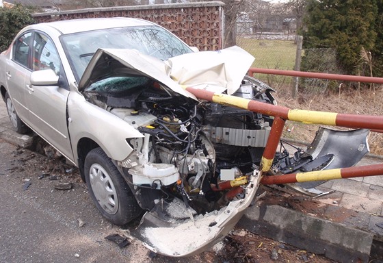 Auto pejelo pes protismr na chodník, kde narazilo do zábradlí.