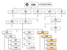 Schéma organizace CIA, zvýraznné jsou vtve, kterých se týká únik Wikileaks...