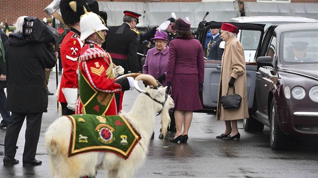 Britsk krlovna Albta II. a kozel William Windsor, maskot Krlovskho velskho pluku (3.3.2017).