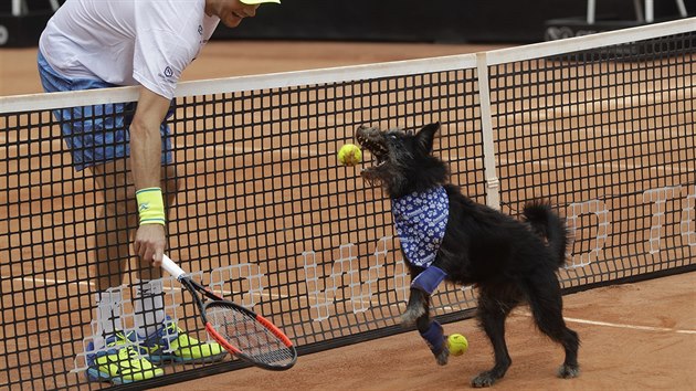 PINES. Brazilsk tenista Marcelo Demoliner si hraje se psm podavaem mk na turnaji ATP v Sao Paulo.
