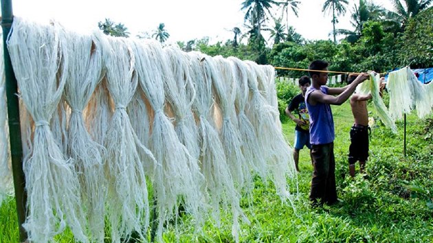Filipnci vyrbj ze zbylch list z ananasovch plant vlkna, ze kterch se vyrb textilie zvan Piñatex.