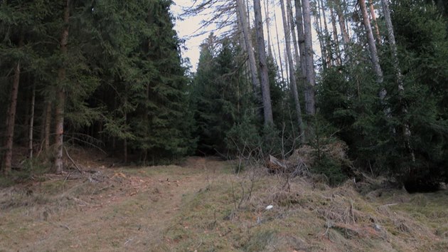 Tragick udlost se stala v lese Jedlice u Novch Hrad.