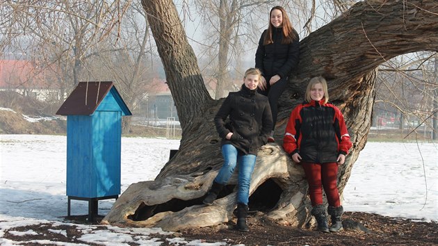 kyn Kateina Vakov, Andrea Pokorn a Tereza ern v trn pod stromem.