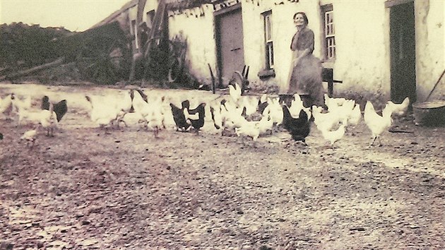 Historick fotografie dokumentuje pvodn podobu sto let star kovrny.