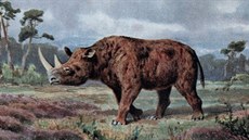 Nosorožec srstnatý na ilustraci Heinricha Hardera (1858-1935) Nosorožec srstnatý na ilustraci Heinricha Hardera (1858-1935)