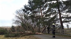 Následky silného vtru v okolí Javorníku v Rychlebských horách (2. bezna 2017)