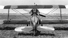 Avia B.21 s tíbarevnou kamufláí "hndá-okrová-zelená"