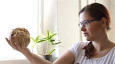 Zdravotním problémům spojeným s nadváhou můžeme předejít snížením tělesné... Zdravotním problémům spojeným s nadváhou můžeme předejít snížením tělesné...