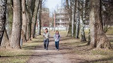 Stromovka v Českých Budějovicích. (březen 2017). Stromovka v Českých Budějovicích. (březen 2017).