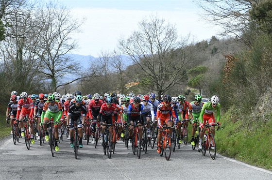 Cyklistický peloton