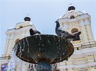 Jeden z mnoha kostel a dva z mnoha holub v hlavním mst Peru