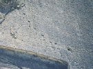 Pohled na dinosauí stopy na tzv. Pedra da Mua, které daly vzniknout legend o...