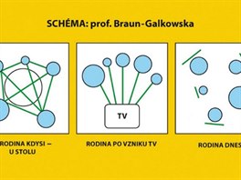 Schma profesorky Braun Galkowsk