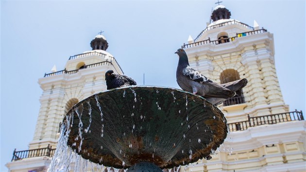 Jeden z mnoha kostel a dva z mnoha holub v hlavnm mst Peru