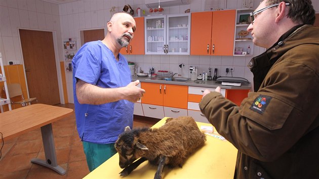 Zvrolka Ji Vomka na veterinrn klinice Live Litomice.