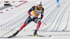Vítězný Martin Johnsrud Sundby v cíli klasické padesátky v Oslu. Vítězný Martin Johnsrud Sundby v cíli klasické padesátky v Oslu.