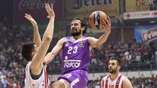 Sergio Llull z Realu Madrid ní nad obranou Crvené zvezdy Blehrad.