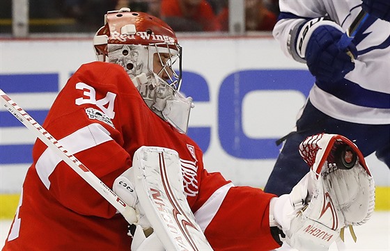 Petr Mrázek v brance Detroitu Red Wings