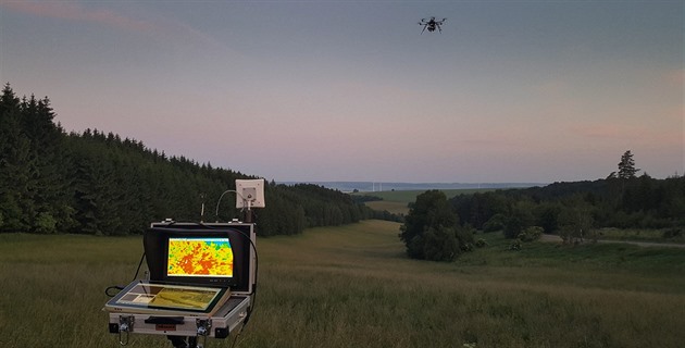 Identifikace zve ped sklizní z dronu s termovizí pi úsvitu.