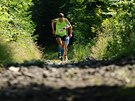 Ondej Fejfar na trati prvního roníku závodu Kilpi Trail Running Cupu ve...