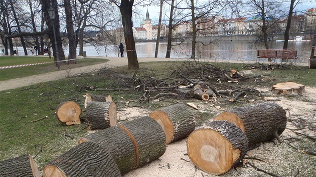 Stromy byly ve patnm zdravotnm stavu a pedstavovaly velk bezpenostn riziko pro nvtvnky ostrova, ekla mluv Prahy 1 Veronika Blakov.