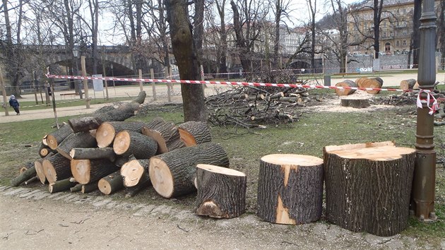 Stromy byly ve patnm zdravotnm stavu a pedstavovaly velk bezpenostn riziko pro nvtvnky ostrova, ekla mluv Prahy 1 Veronika Blakov.