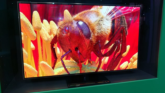 54,6" OLED panel se 4K rozlienm a 100 % DCI barevnho prostoru. Samotn panel m hmotnost 3 kg. 