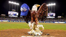Maskot amerických baseballistů slaví výhru nad Portorikem v prestižní World... Maskot amerických baseballistů slaví výhru nad Portorikem v prestižní World...