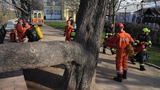 V sobotu ráno hasiči vyprošťovali dva zraněné lidi na Žofíně (25. března 2017). V sobotu ráno hasiči vyprošťovali dva zraněné lidi na Žofíně (25. března 2017).