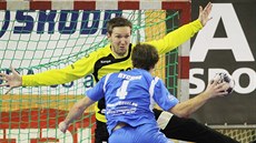 Momentka z extraligového utkání Plzeň - Jičín Momentka z extraligového utkání Plzeň - Jičín