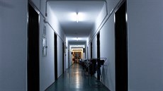 Na lékaské fakult v rumunské Klui studuje asi 6600 medik. Asi tetina z...