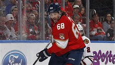 Jaromír Jágr z Floridy během utkání s Chicagem. Jaromír Jágr z Floridy během utkání s Chicagem.