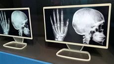 21,6" OLED monitor se 4K rozlišením (204 ppi) a 130 % sRGB barevného prostoru. 21,6" OLED monitor se 4K rozlišením (204 ppi) a 130 % sRGB barevného prostoru.