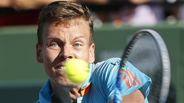 esk tenista Tom Berdych ve tvrtfinlovm duelu s Rogerem Federerem ze vcarska.