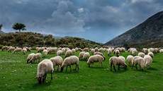 Pohoí Mali i Gjerës, jiní Albánie