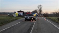 Nehoda se stala na hlavní silnici eské Budjovice - Dolní Dvoit u odboky...