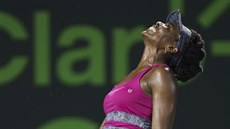 Venus Williamsová v semifinále turnaje v Miami.