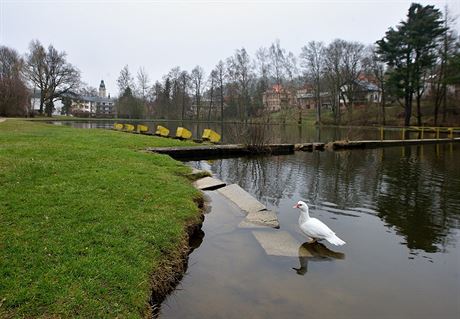 Koupalit v Novoveské ulici mlo v dob svého vzniku rozlohu 12 tisíc metr...